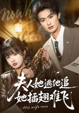夫人她逃他追，她插翅难飞全集