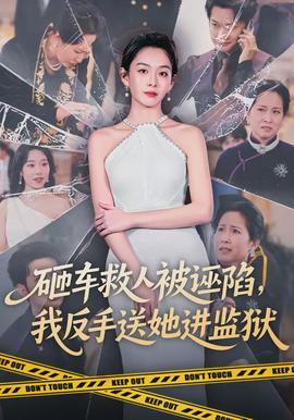 砸车救人被诬陷，我反手送她进监狱全集