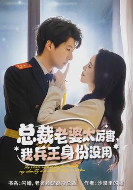 总裁老婆太厉害，我兵王身份没用全集
