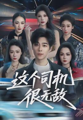 这个司机很无敌全集