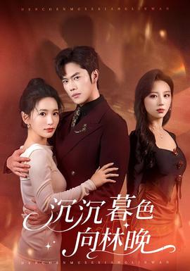 沉沉暮色向林晚全集