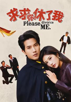 求求你休了我全集