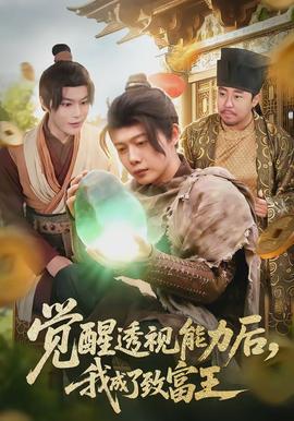 觉醒透视能力后，我成了致富王全集