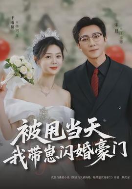 被甩当天我带崽闪婚豪门全集