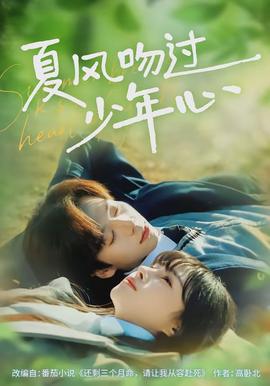 夏风吻过少年心全集