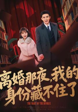 离婚那夜，我的身份藏不住了全集