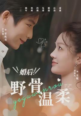 婚后：野骨温柔全集