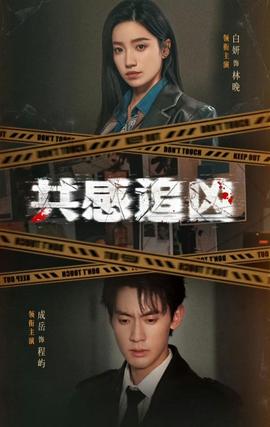 共感追凶全集