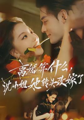 离婚算什么，沈小姐她转头改嫁了全集