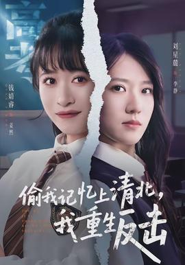偷我记忆上清北，我重生反击全集