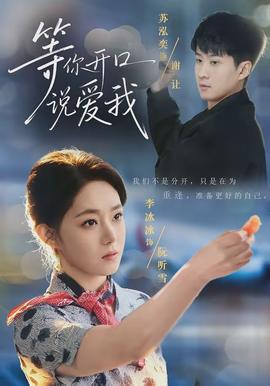 等你开口说爱我全集