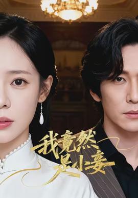 我竟然是小妾全集