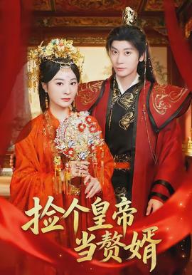 捡个皇帝当赘婿全集