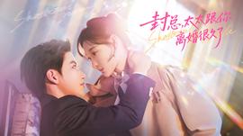 封总，太太跟你离婚很久了全集