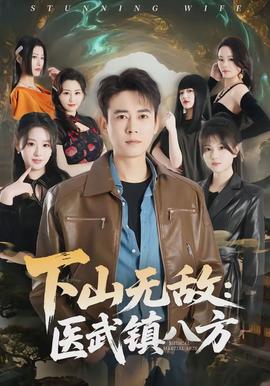 下山无敌：医武镇八方全集