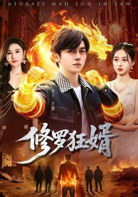 修罗狂婿全集