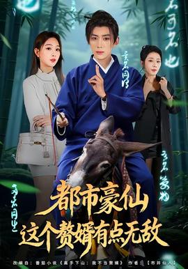 都市豪仙，这个赘婿有点无敌全集