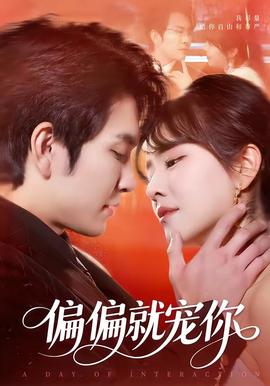 偏偏就宠你全集
