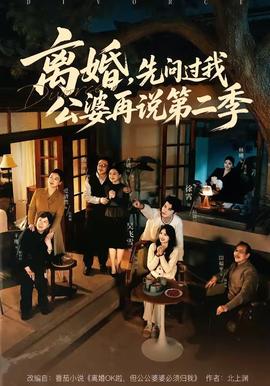 离婚，先问过我公婆再说第二季全集