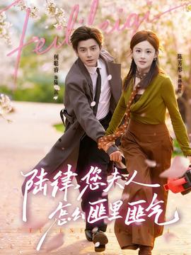 陆律，您夫人怎么匪里匪气全集