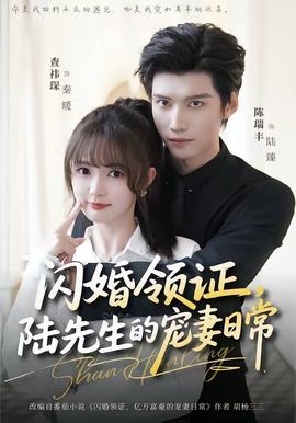 闪婚领证，陆先生的宠妻日常全集