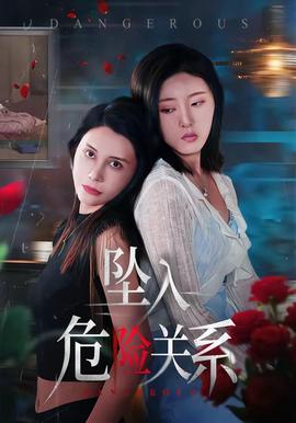 坠入危险关系全集
