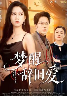 梦醒辞旧爱全集