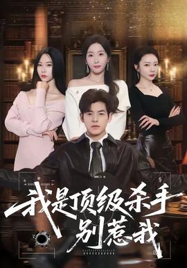 我是顶级杀手，别惹我全集
