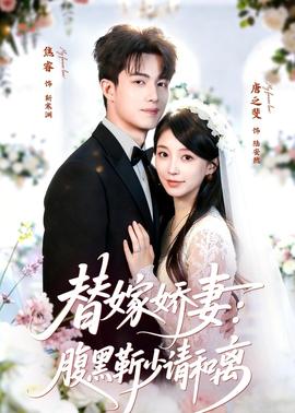 替嫁娇妻：腹黑靳少请和离全集