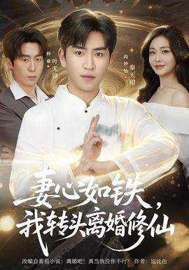 妻心如铁我转头离婚修仙全集