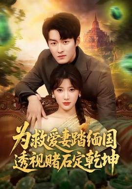 为救爱妻踏缅国透视赌石定乾坤全集