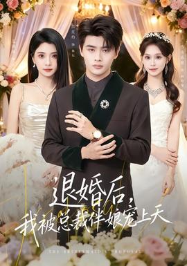 退婚后，我被总裁伴娘宠上天全集