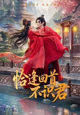 恰逢回首不识君全集