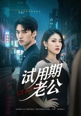 试用期老公全集