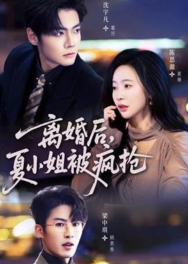 离婚后，夏小姐被疯抢全集