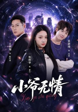 小爷无情全集
