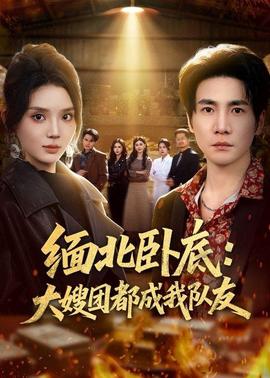 缅北卧底：大嫂团都成我队友全集
