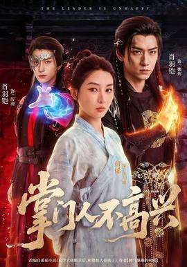 掌门人不高兴全集