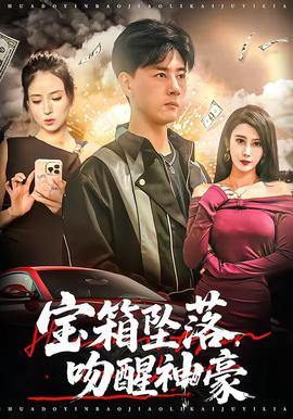 宝箱坠落，吻醒神豪全集