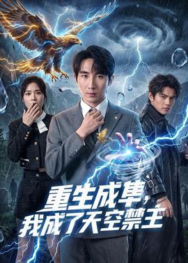 重生成隼，我成了天空禁主全集