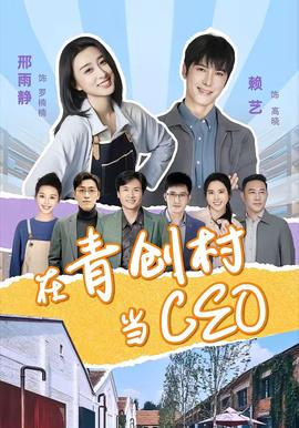 在青创村当CEO全集