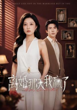 离婚那天我赢了全集