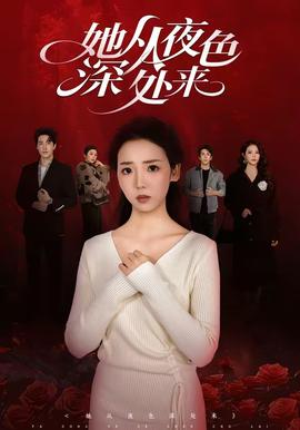 她从夜色深处来全集