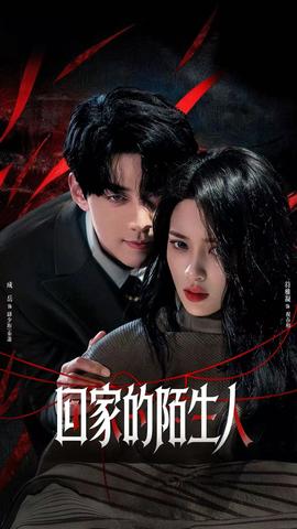 回家的陌生人全集