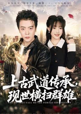 上古武道传承，现世横扫群雄全集