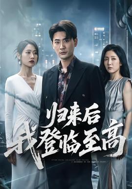 归来后我登临至高全集