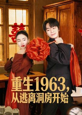 重生1963，从逃离洞房开始全集