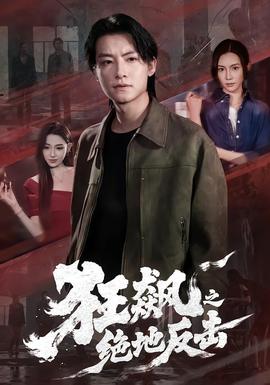 狂飙之绝地反击全集