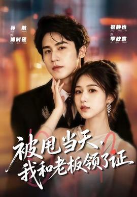被甩当天，我和老板领了证全集