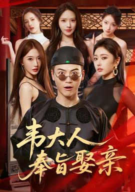 韦大人奉旨娶亲全集